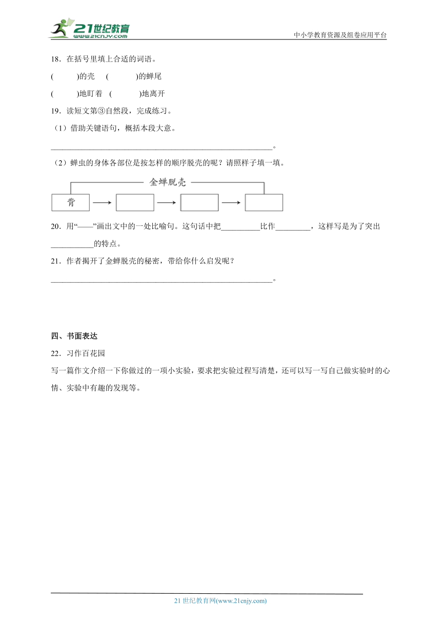 部编版小学语文三年级下册第四单元必考题检测卷-（含答案）