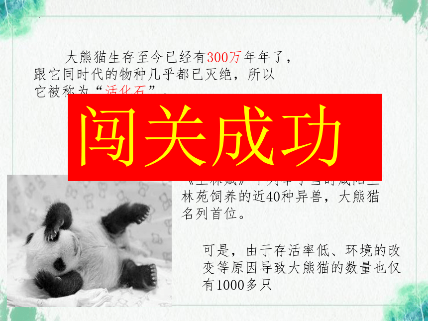 第七单元习作：《国宝大熊猫》（课件）（共17张ppt）