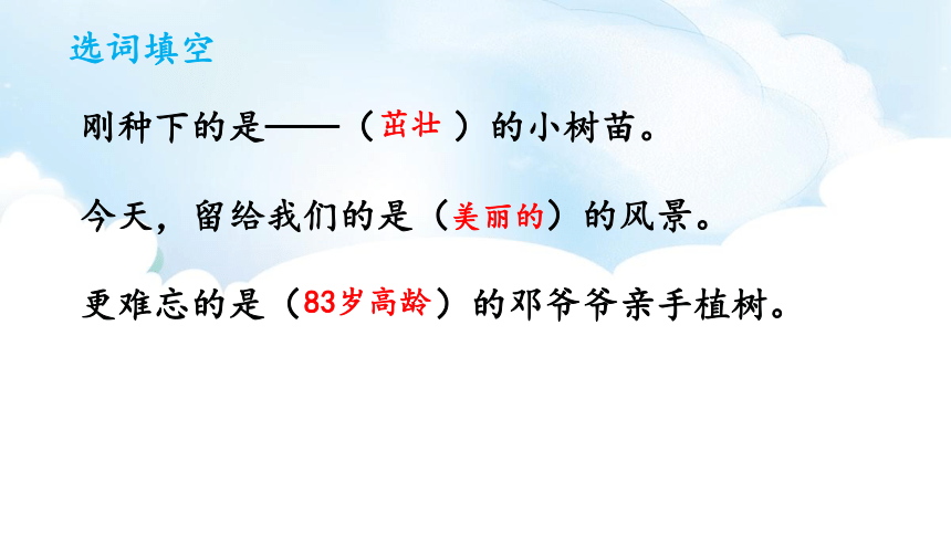 4 邓小平爷爷植树  课件（47张）