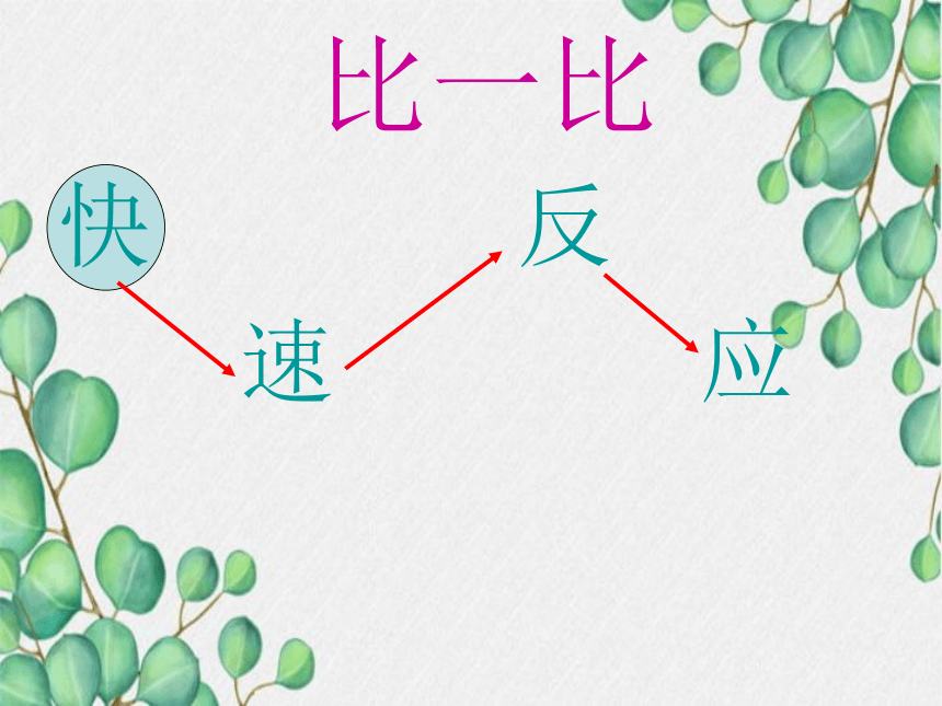 剑桥少儿英语预备级Unit3 Dog, elephant, fish and giraffe 课件（33张）