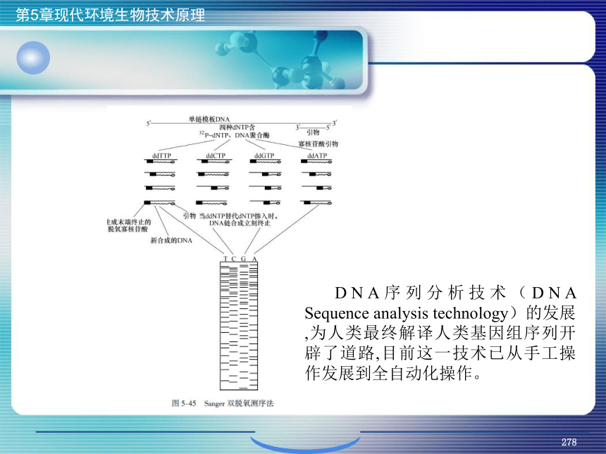 5.现代环境生物技术原理_10 课件(共22张PPT）- 《环境生物化学》同步教学（机工版·2020）