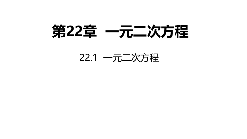华师大版数学九年级上册 22.1 一元二次方程 同步课件(共19张PPT)