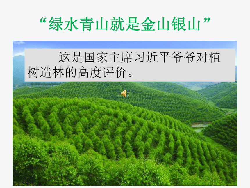 植树问题（课件）-五年级上册数学人教版(共21张PPT)