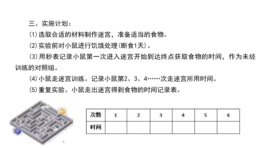 实验十六 小鼠走迷宫获取食物的学习行为课件(共22张PPT)-中考生物全册实验分析设计（人教版）