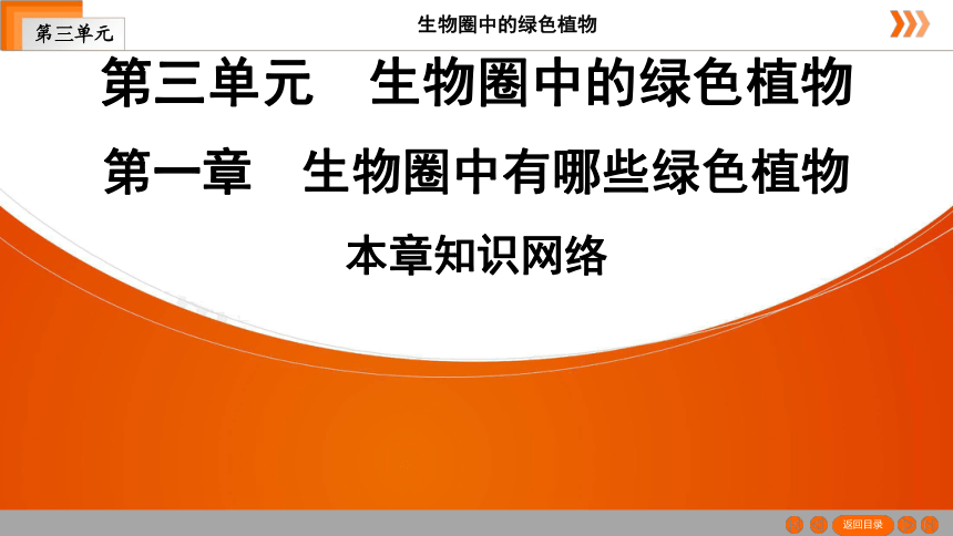 人教版生物七年级上册  第3单元　第1章　生物圈中有哪些绿色植物本章知识网络 课件（共19张PPT）