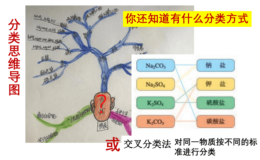 1.1物质的分类和转化 课件(共41张PPT)