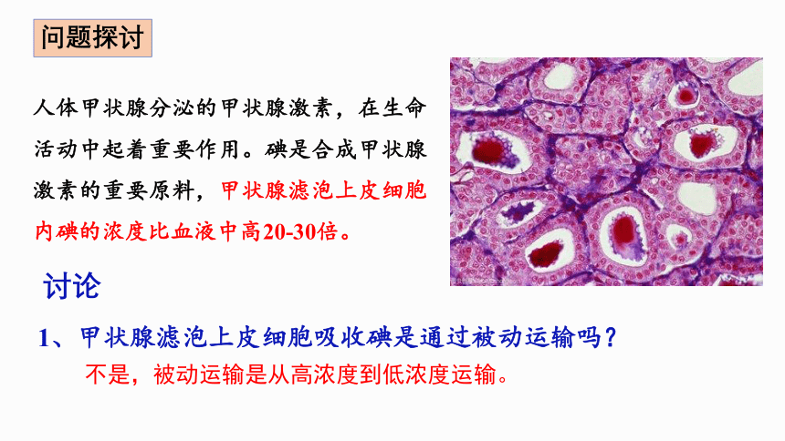 2021-2022学年高一上学期生物人教版必修一4.2.主动运输与胞吞、胞吐 课件（共28张PPT）