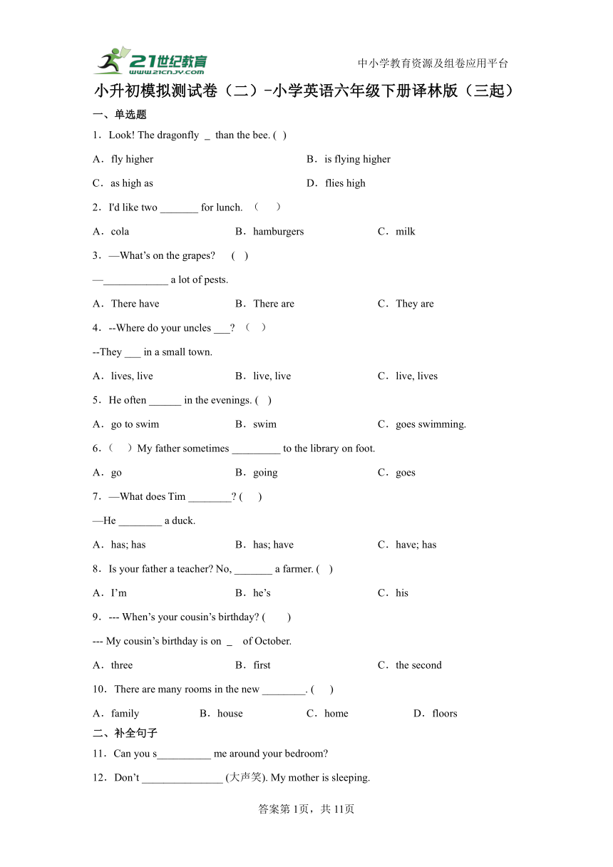 小升初模拟测试卷（二）-小学英语六年级下册译林版（三起）（含答案）