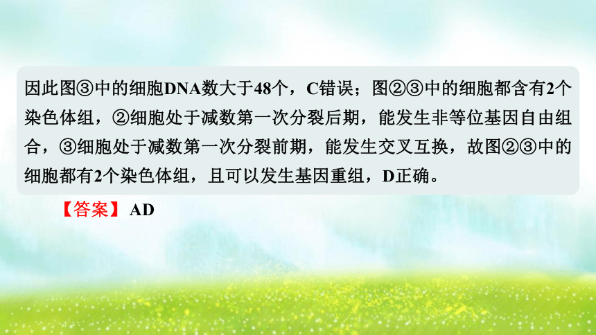 【二轮专题课件】专题2 生命的细胞基础 第3讲 细胞的生命历程(含减数分裂)(共46张PPT)