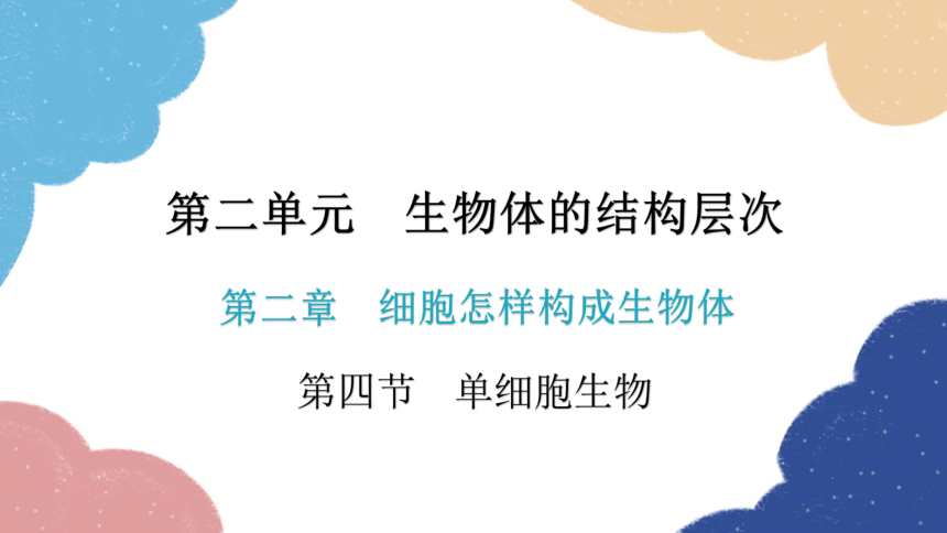 人教版生物七年级上册 2.2.4单细胞生物课件(共30张PPT)