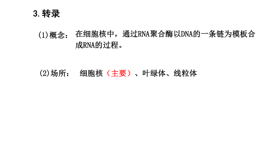 2020-2021学年高一生物（人教版（2019）必修二）4.1 基因指导蛋白质的合成  课件（41张PPT）