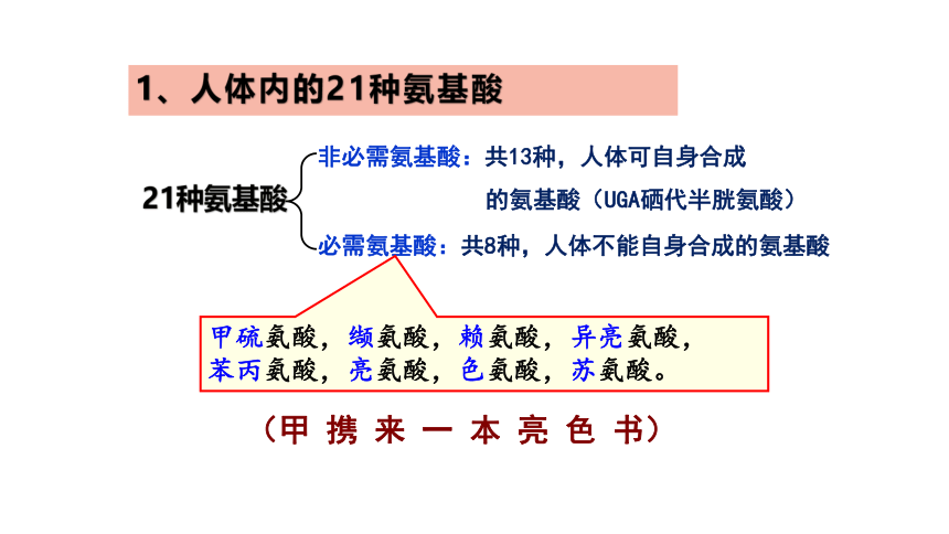 【备考2022一轮复习】&1.2蛋白质的结构和功能（共38张PPT）