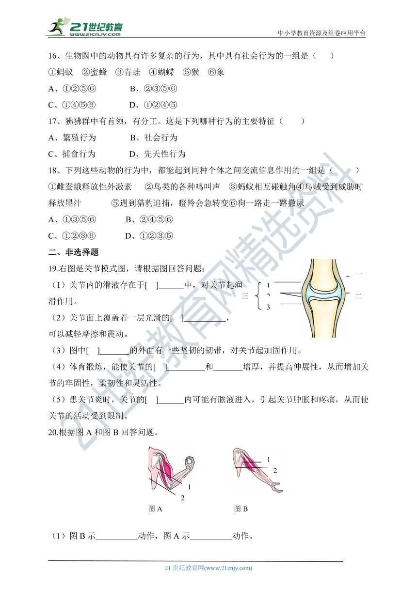 人教版八年级生物上册第二章 动物的运动和行为测试题（含答案）