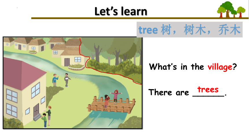 Unit 6 In a nature park PB Let’s learn 课件(共19张PPT)