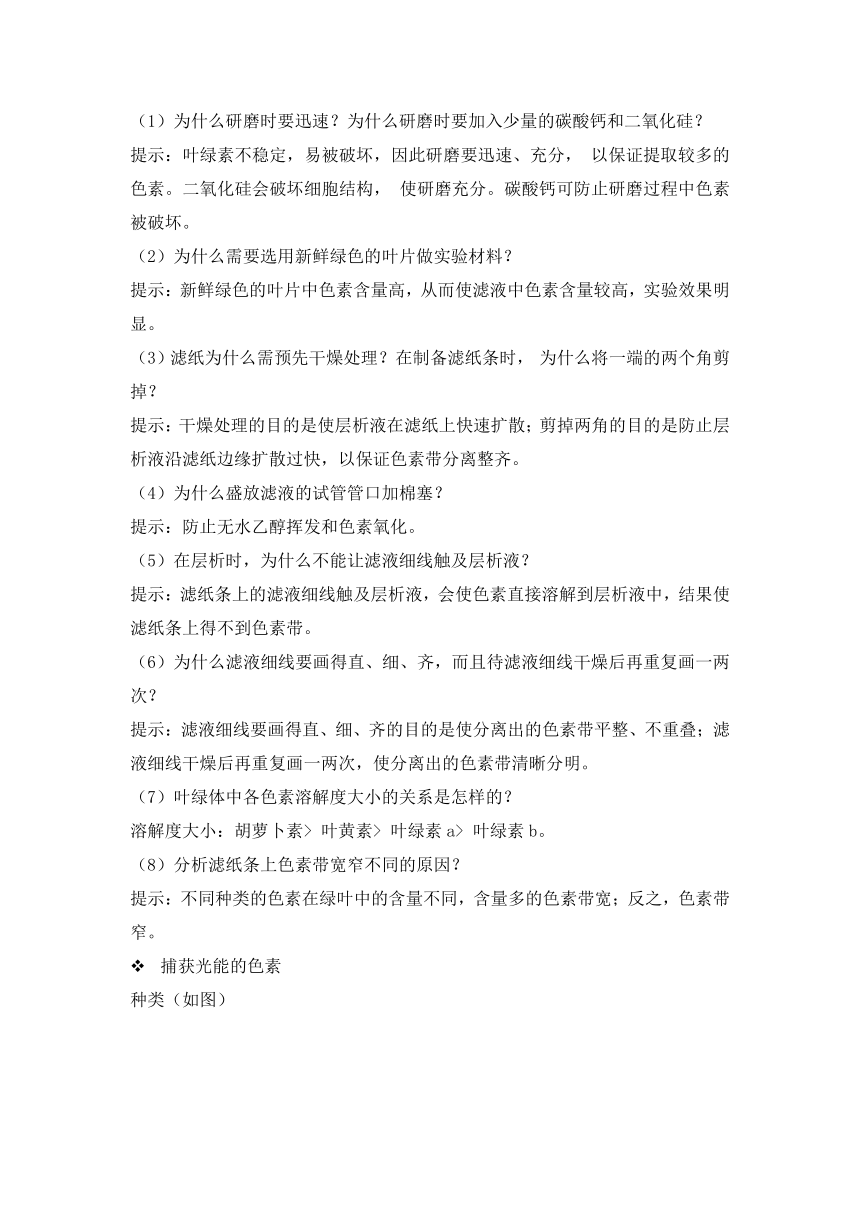 人教版（2019）必修一-《细胞的能量供应和利用》-“光合作用与能量转化”章节重点归纳&典例示范学案（含答案）