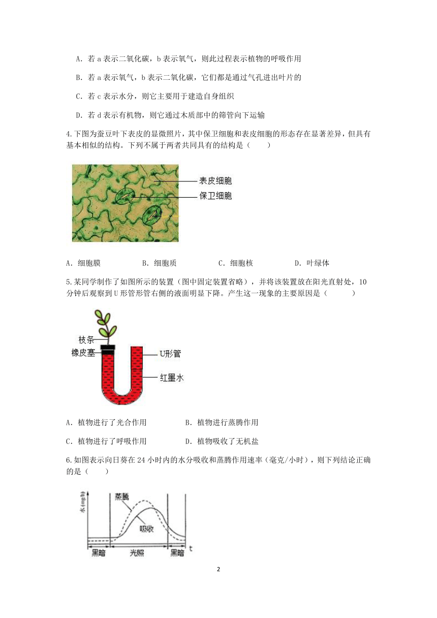 浙教版八年级科学2022-2023学年第二学期期末复习专题训练（一）：植物的蒸腾作用【word，含解析】