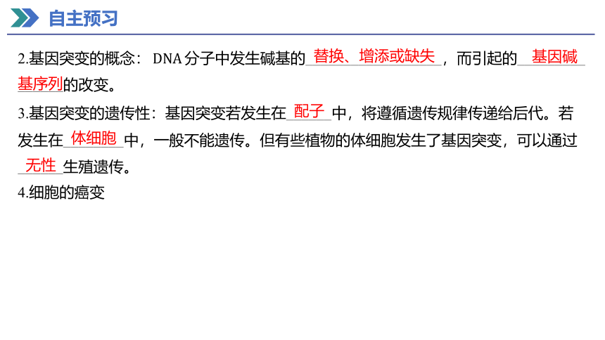 5.1 基因突变和基因重组 课件(共37张PPT) 2023-2024学年高一生物人教版（2019）必修第二册