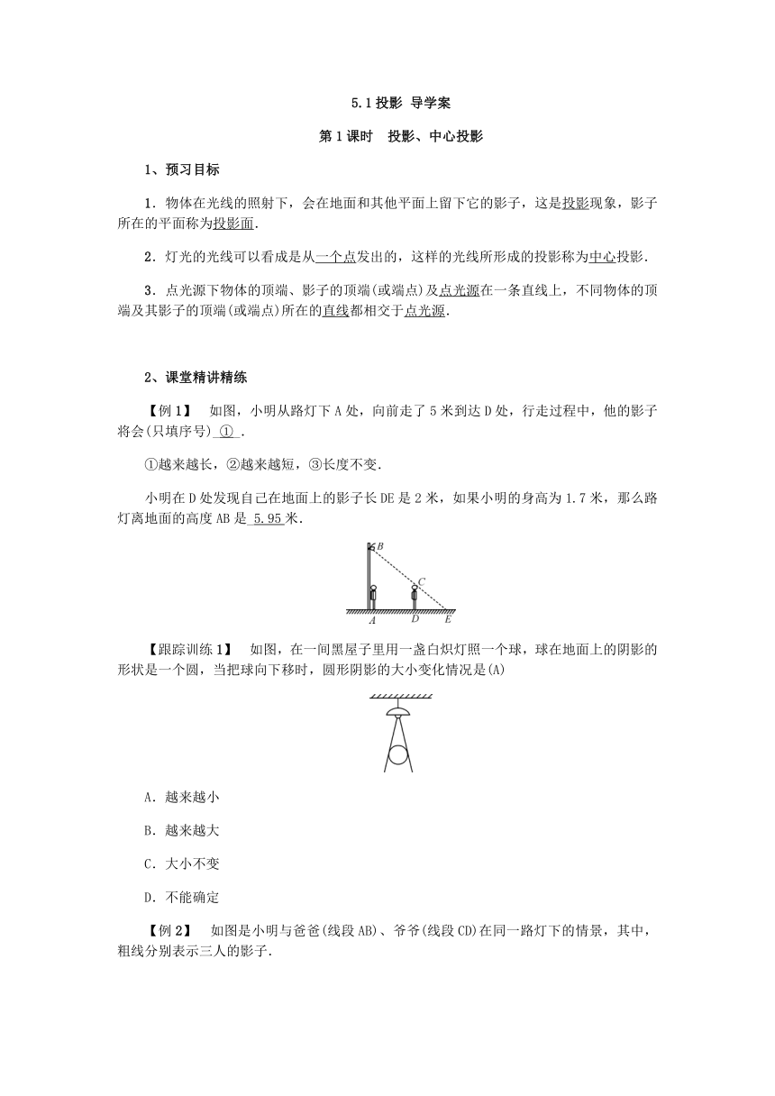 北师大版数学九年级上册：5.1 投影 导学案（含答案）