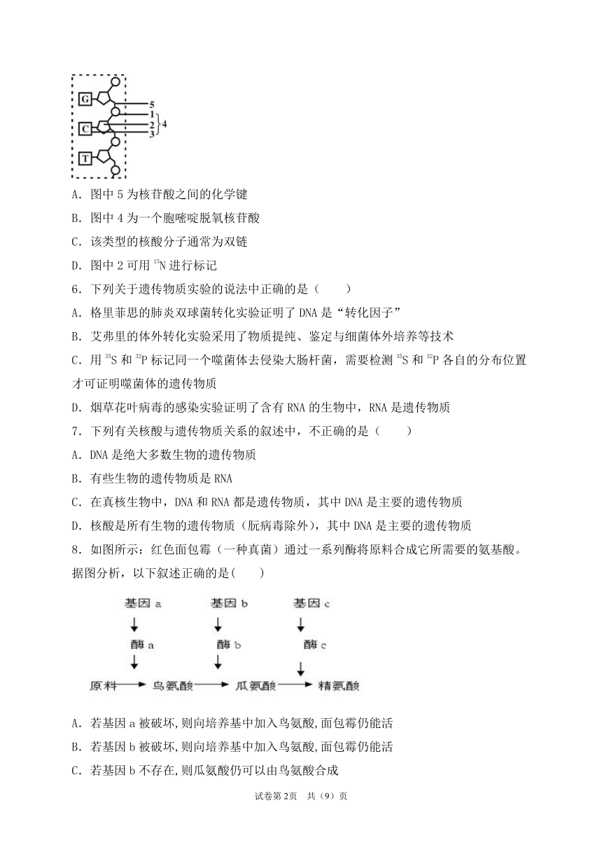 黑龙江省齐齐哈尔三立高中2020-2021学年高一下学期6月月考生物试题    含答案