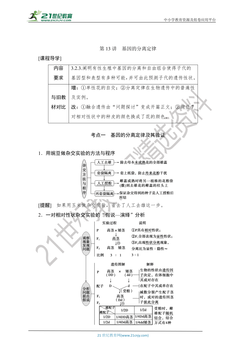 【考点梳理  生物总复习 】30第13讲　基因的分离定律（Word版含答案）