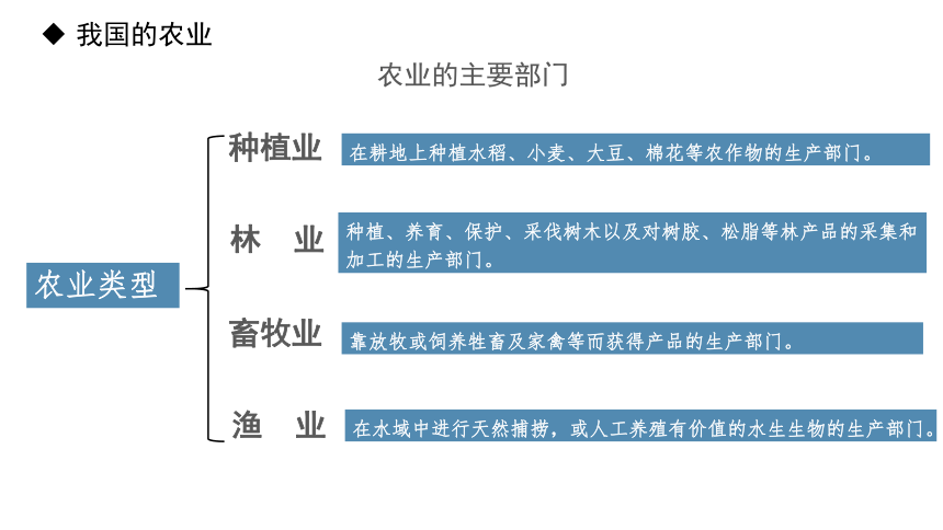 中图版地理七年级下册4.2.2《土地资源与农业》课件(共32张PPT)