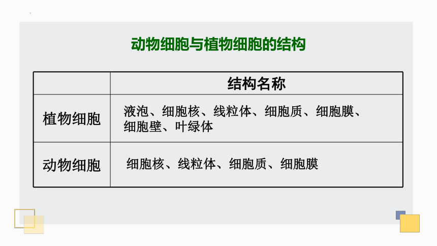 1.2.1细胞——细胞的结构 课件(共30张PPT)2022-2023学年冀教版生物七年级上册