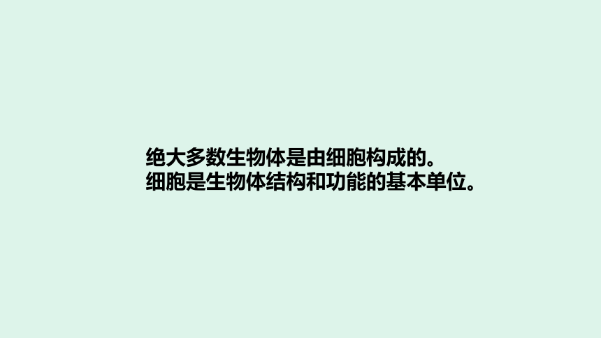 青岛版（六三制2017秋）六年级上册科学-1.1.细胞 课件(共18张PPT)