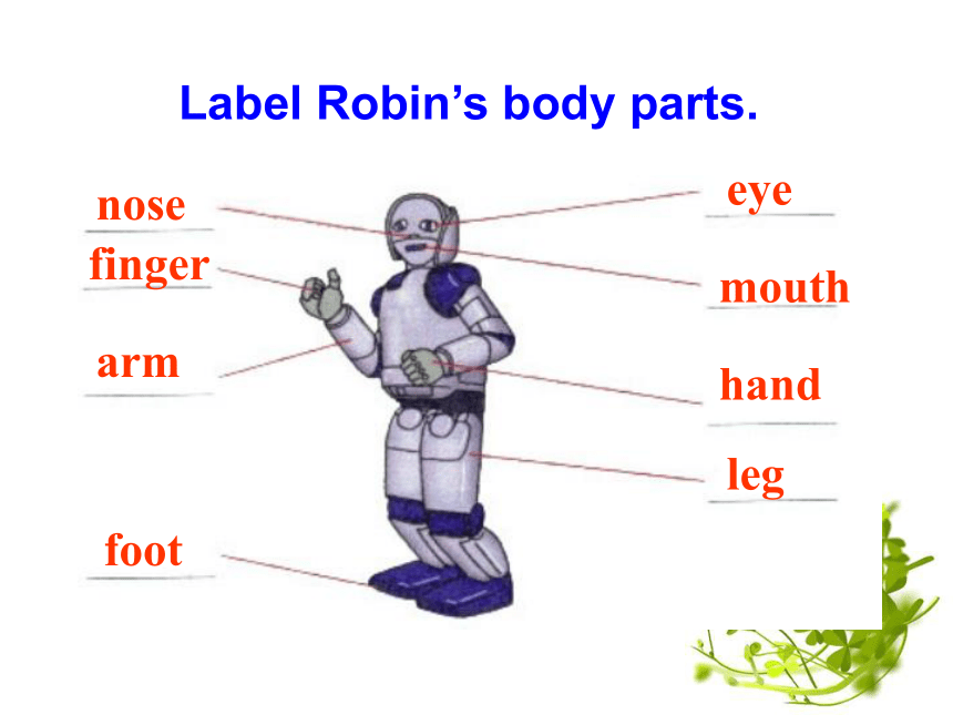 冀教版七上英语 Unit 3 Lesson 13 Body parts 课件(共19张PPT)