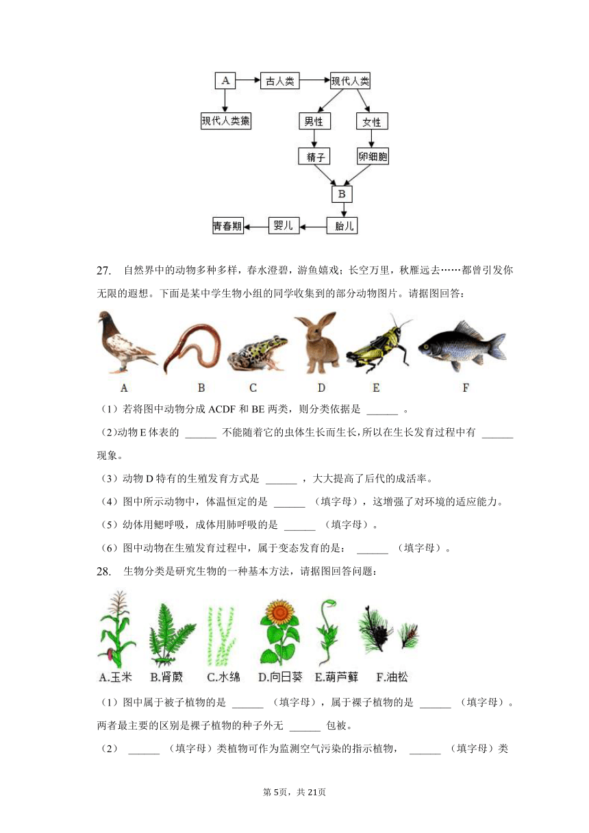 2022-2023学年安徽省宣城市宁国市三校八年级（下）期中生物试卷（含解析）