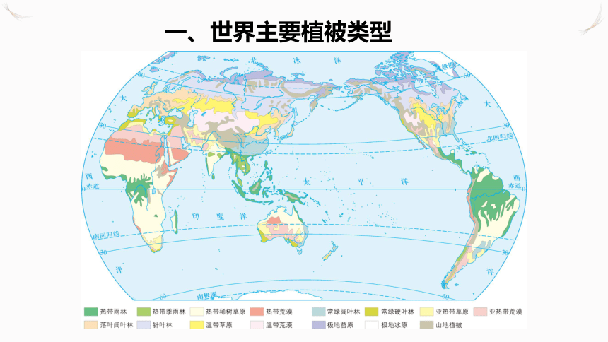 2.7植被与自然环境的关系 教学课件（49张）