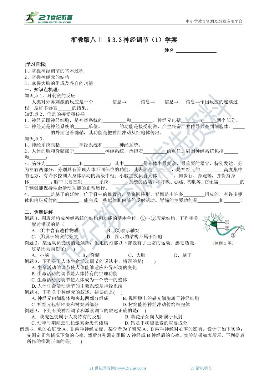 2022浙教版八上科学3.3神经调节（1）学案（含答案）