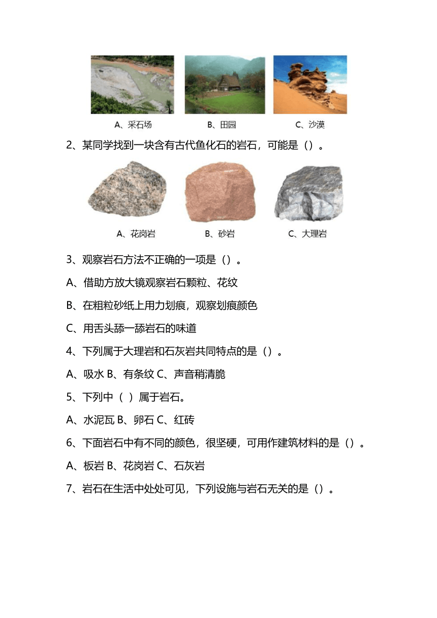 苏教版（2017秋） 四年级上册4.16常见的岩石 练习题【含答案】