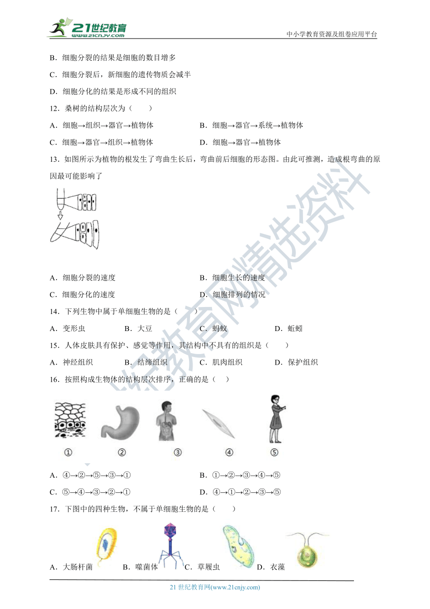 人教版七年级生物上册第2单元第2章《细胞怎样构成生物体》单元练习题（含答案）