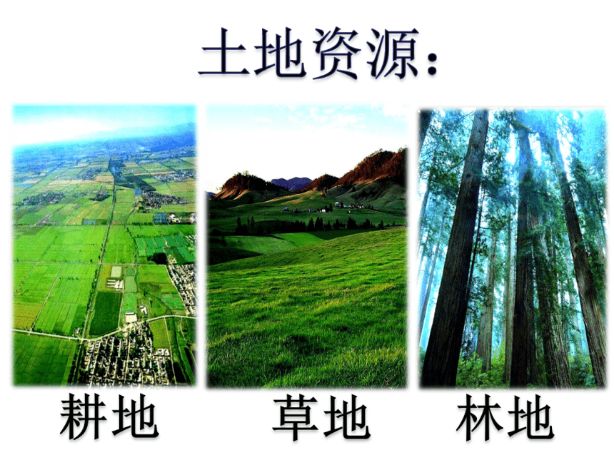 鲁教版（五四制）地理七年级上册 3.1 中国的自然资源 课件 (共41张PPT)