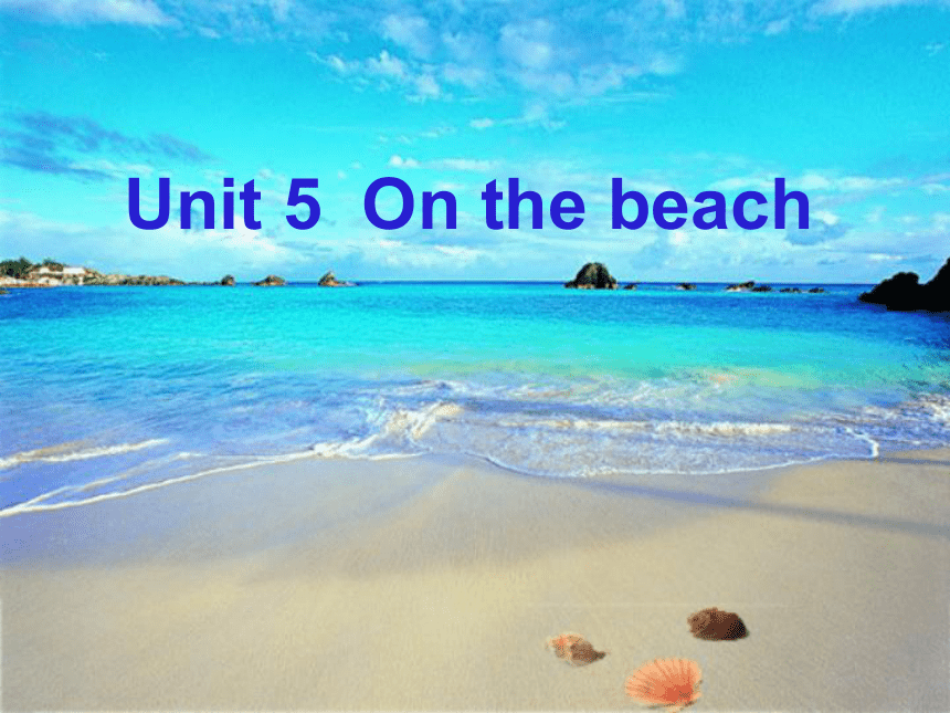 Unit5 On the beach Lesson3 课件(共44张PPT)