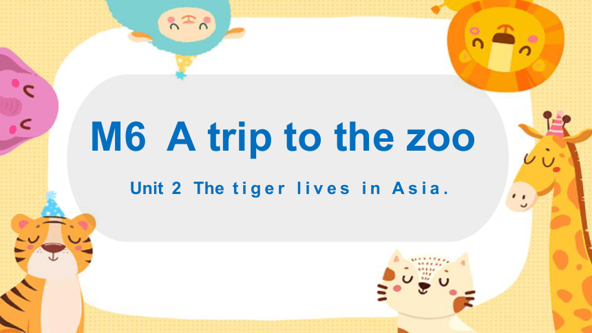 外研版  七年级上册  Module 6 A trip to the zoo   Unit 2 The tiger lives in Asia. 课件(共25张PPT)