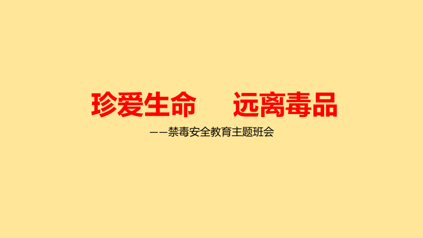 初中班会 珍爱生命 远离毒品 班会 课件 (22张PPT)