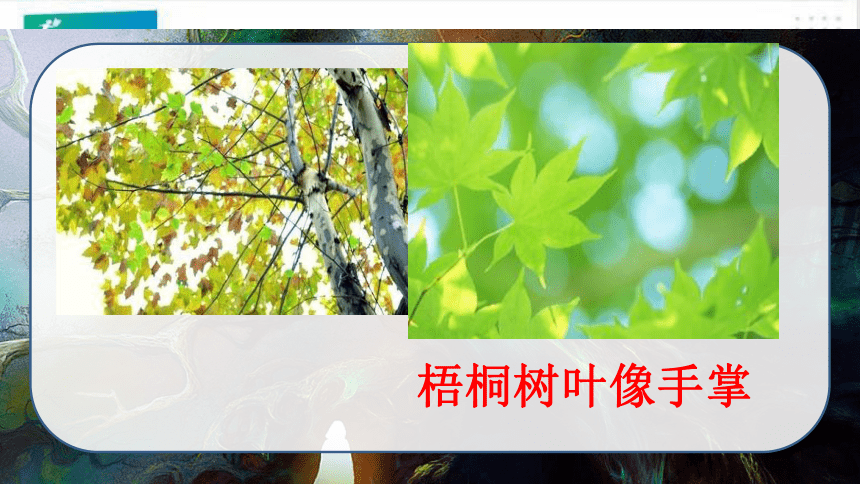 统编版语文二年级上册：识字2·树之歌  课件（共24张PPT）