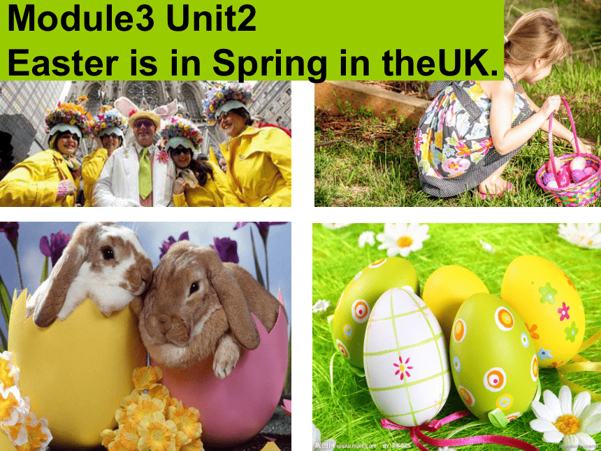 Module 3 Unit 2 Easter is in Spring in the UK 课件（35张ppt）