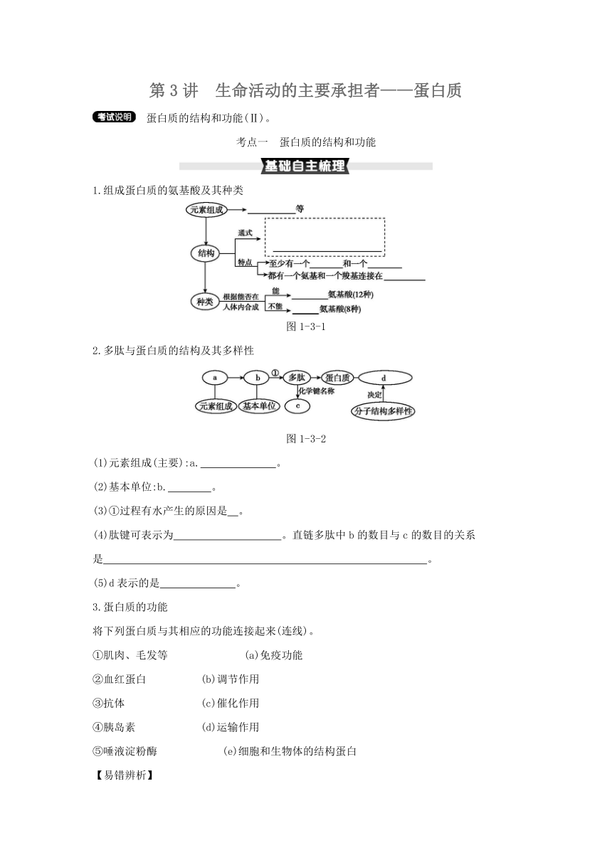 考点梳理&同步真题：第3讲   生命活动的主要承担者——蛋白质（含答案详解）
