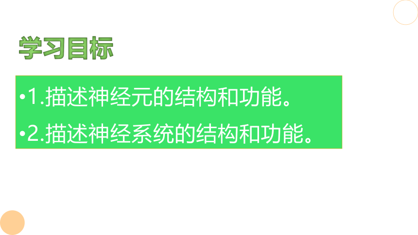 4.6.2 神经系统的组成 课件（共20张PPT）