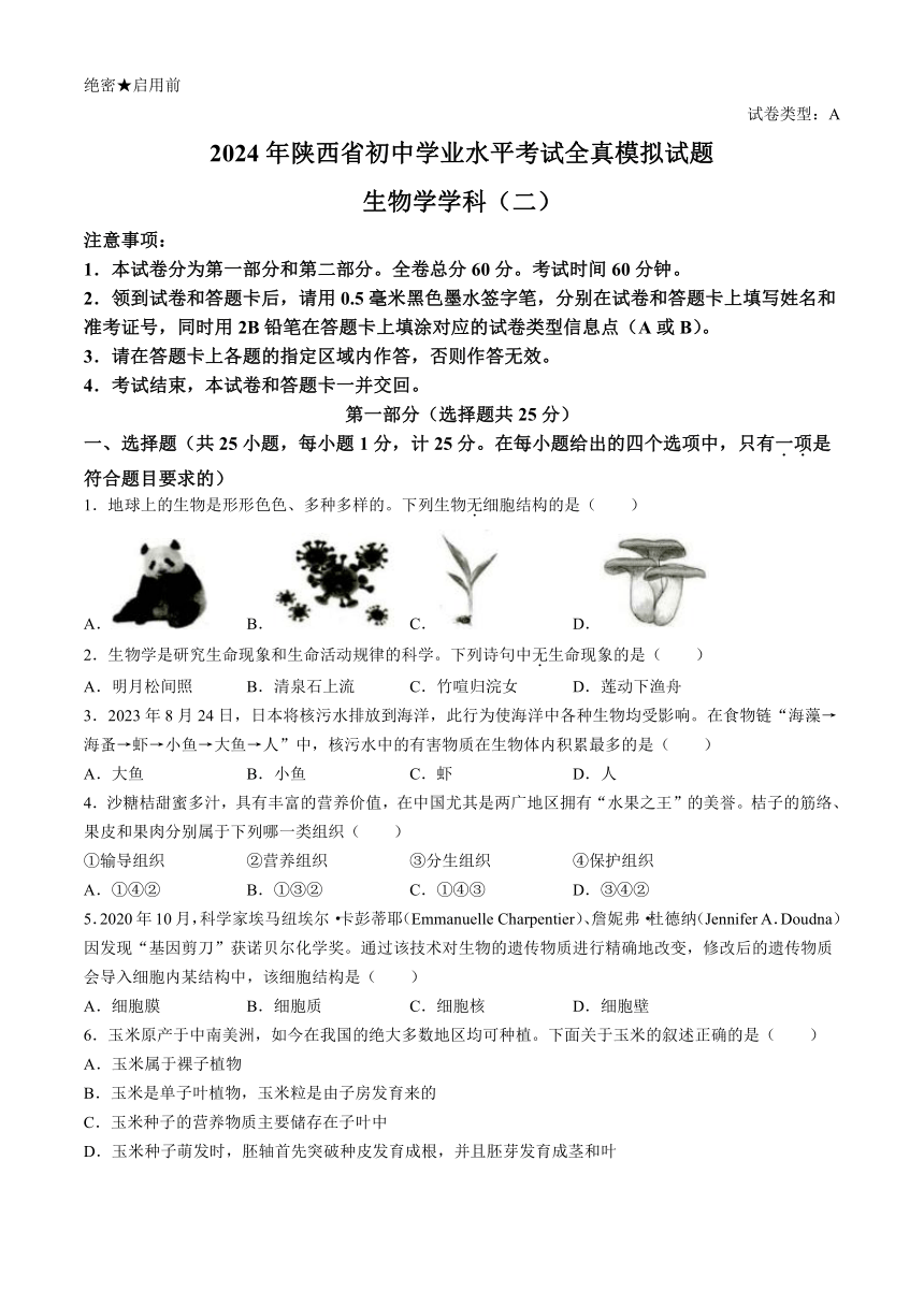 陕西省榆林市第十中学2023--2024学年八年级下学期第一次质量检测生物试题（含答案）