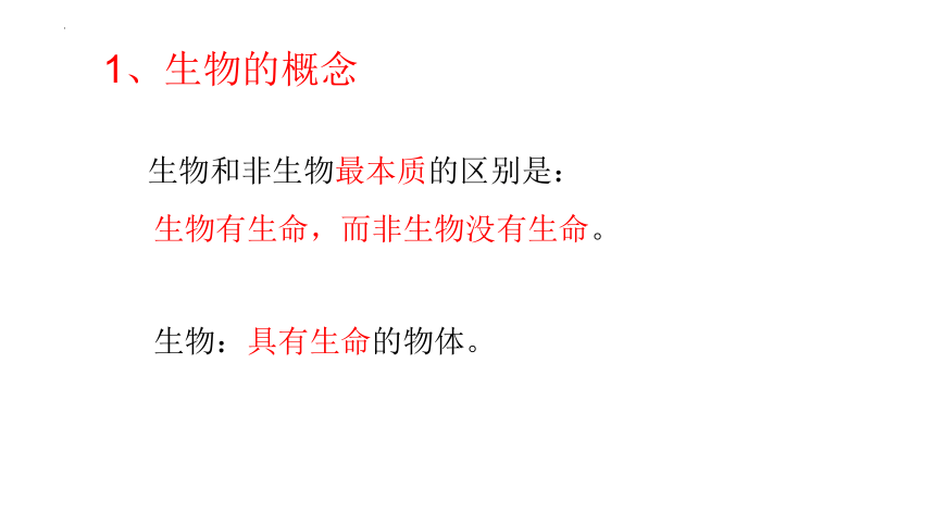 1.1.1生物的特征课件2022－－2023学年人教版生物七年级上册（共28张PPT）