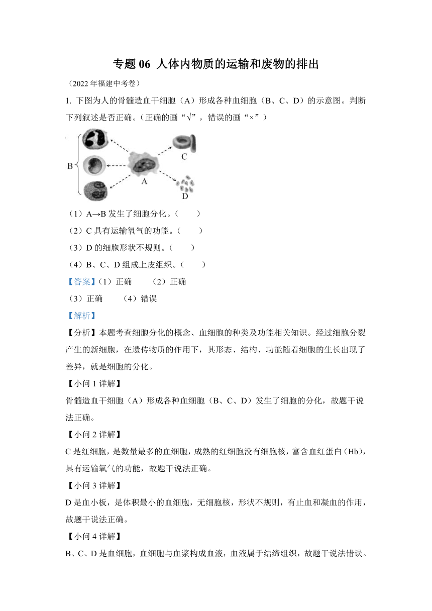 专题06 人体内物质的运输和废物的排出-2022年中考生物真题（全国通用）（试题与答案未分开）