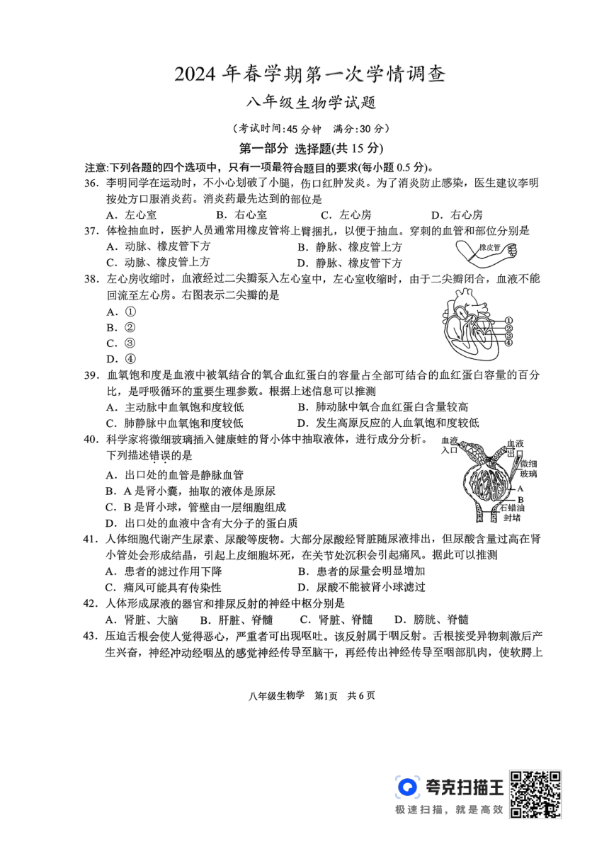 江苏省泰州市泰兴市2023-2024学年八年级下学期4月期中生物试题（pdf版含答案）