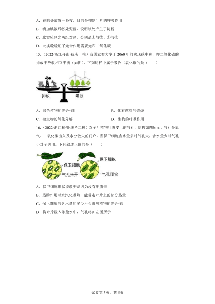 浙江省2022年中考科学模拟题汇编-08绿色植物的新陈代谢（选择题，含解析）