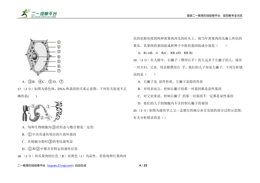 2022年初中生物济南版八年级上册期末测书卷（二）（含解析）