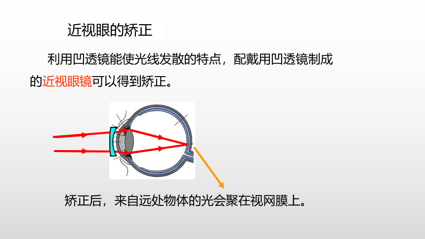 4.6神奇的眼睛—沪科版八年级全一册物理课件(共21张PPT)