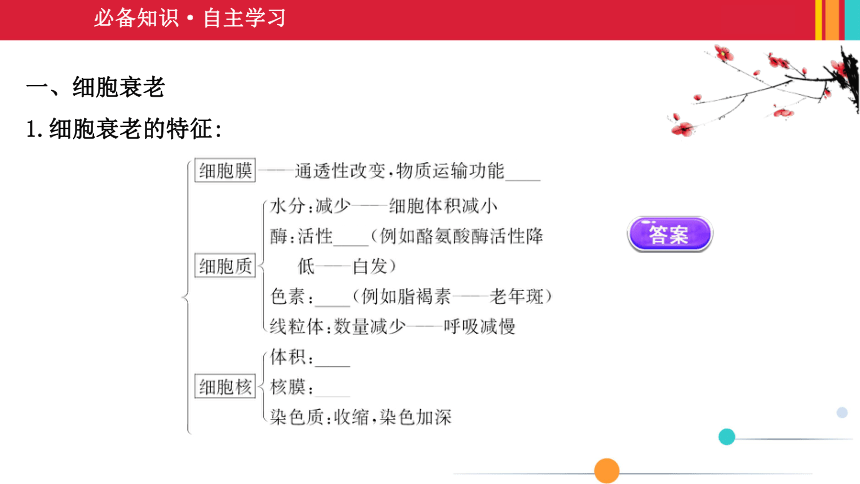 （新人教）生物必修一课件：6.3细胞的衰老和死亡(共35张PPT)