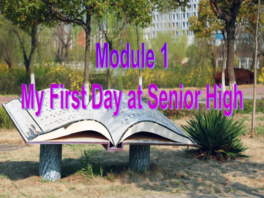 外研版必修1 Module 1 My First Day at Senior High Grammar 课件 (共42张PPT)